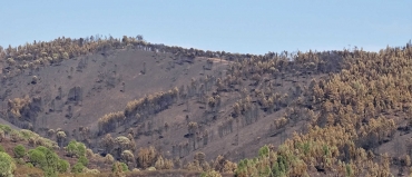 El gran incendio forestal del verano