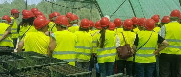 Colaboración