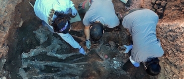 En busca de la identidad arrebatada