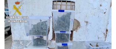 Desarticulado punto droga