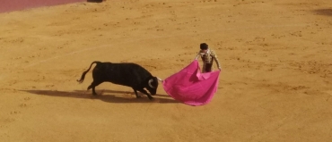 Tarde de toros