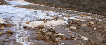 Por vertido tóxico al río Tinto