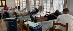 Donación de Sangre