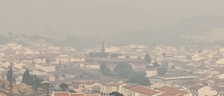 Incendio de Niebla