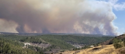 Incendio de Niebla