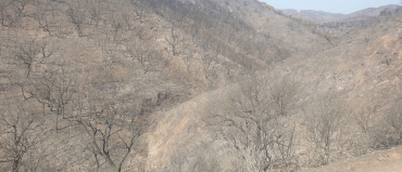 Ecologistas en Acción