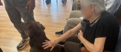 Terapia asistida con animales