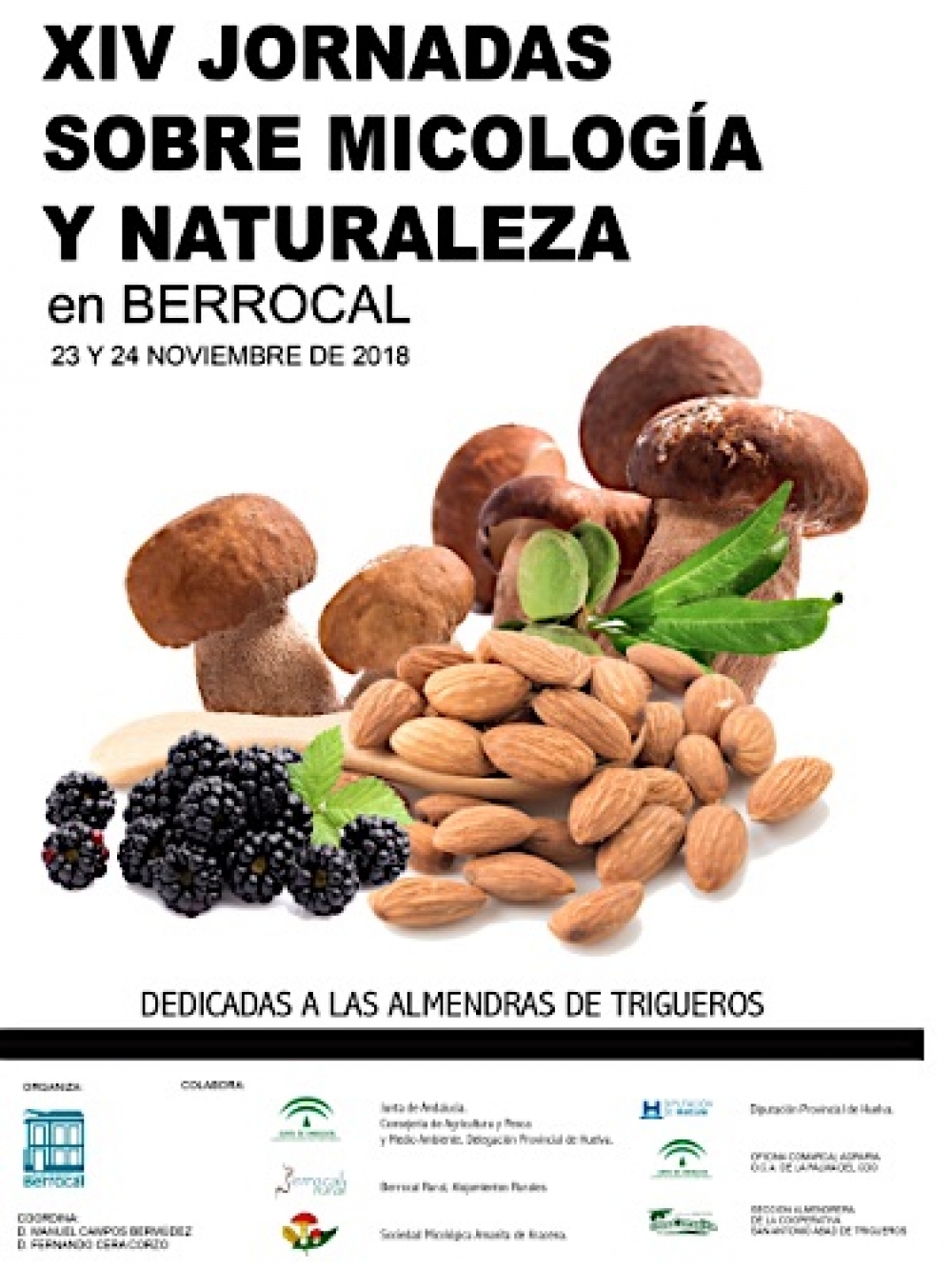 XIV Jornadas sobre Micología y Naturaleza